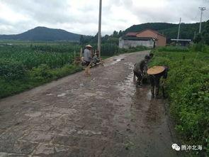 国产三级乡下,国产三级电影的乡村画卷